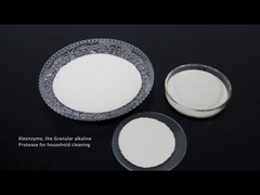 Deterjan enzim proteaz selülaz amilaz