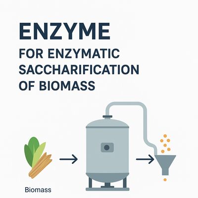 İyi bir fiyat. Enzim karışımı, çeşitli hammaddelerden yüksek glikoz verimleri elde ederken, Bioethanol üretim tesislerinde üretimi en üst düzeye çıkarır çevrimiçi