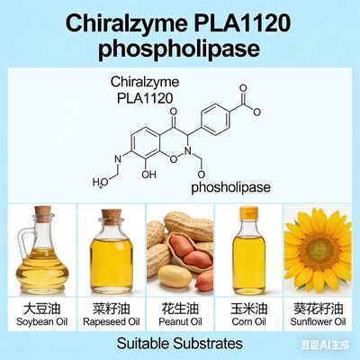 İyi bir fiyat. Chiralzyme PLA1120 | Yağdan Arıtma İçin Yüksek Verimli Fosfolipaz A1 | KDN çevrimiçi