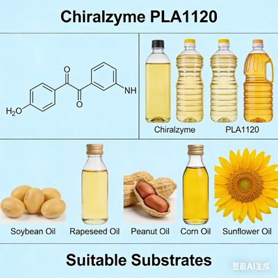 İyi bir fiyat. Chiralzyme PLA1120 | Maliyet Tasarrufu Sağlayan Yağ Rafinasyonu İçin Gıda Sınıfı Enzim çevrimiçi