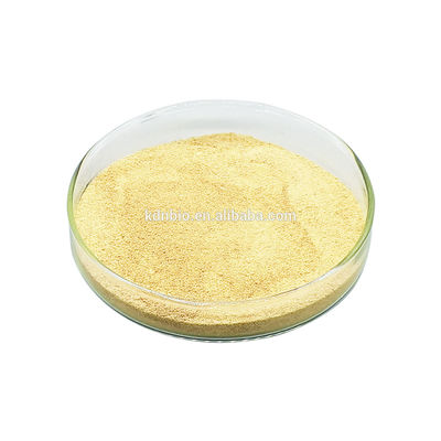 İyi bir fiyat. Yağ Suyu Lipaz Enzimi Endüstriyel Kullanım Yağların Sindirilebilirliğini Artıran Lipid Biyokatalizi çevrimiçi