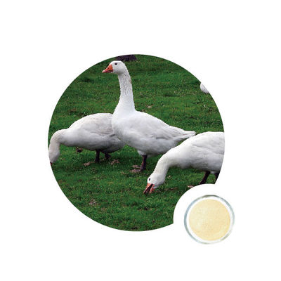 İyi bir fiyat. Kümes Hayvanlarında 50000U g Nsp Enzimler çevrimiçi