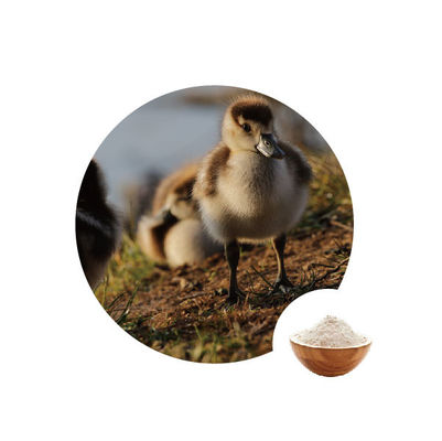 İyi bir fiyat. Gıda Endüstrisinde 10000u G Glikoz Oksidazlar Ec Numarası 1.1.3.4 Kanatlı Enzimleri çevrimiçi