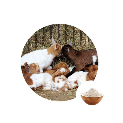 İyi bir fiyat. Gıda Katkı Glikoz Oksidaz Ec Numarası 1.1.3.4 çevrimiçi