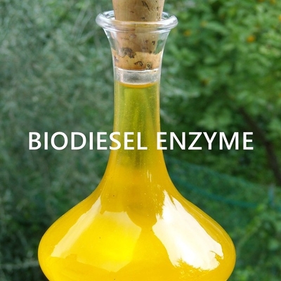 İyi bir fiyat. Sürdürülebilir Biyoenerji Petrol Uygulamaları İçin Mühendislik Lipaz Enzimi çevrimiçi