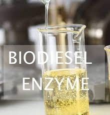 İyi bir fiyat. 25KG/Çanta Yüksek Performanslı Biyodizel Enzimi Biyolojik Yakıt Üretimini Artırır çevrimiçi
