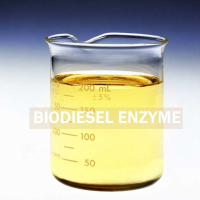 İyi bir fiyat. PH 7-9 Biyodizel Enzimi, bir sonraki nesil ile biyodizel üretimini optimize eder. çevrimiçi